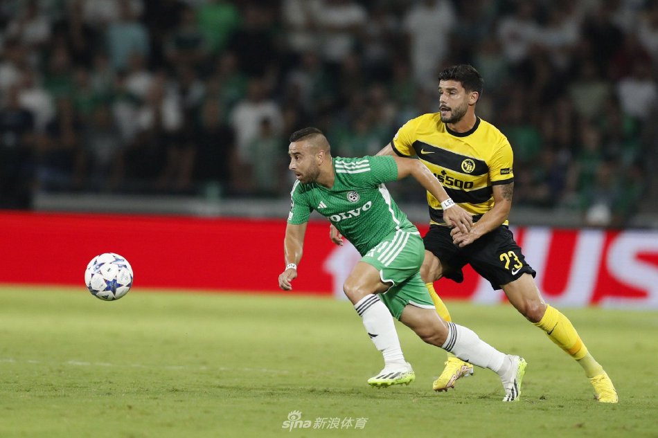 的每一拍都 的每一拍都